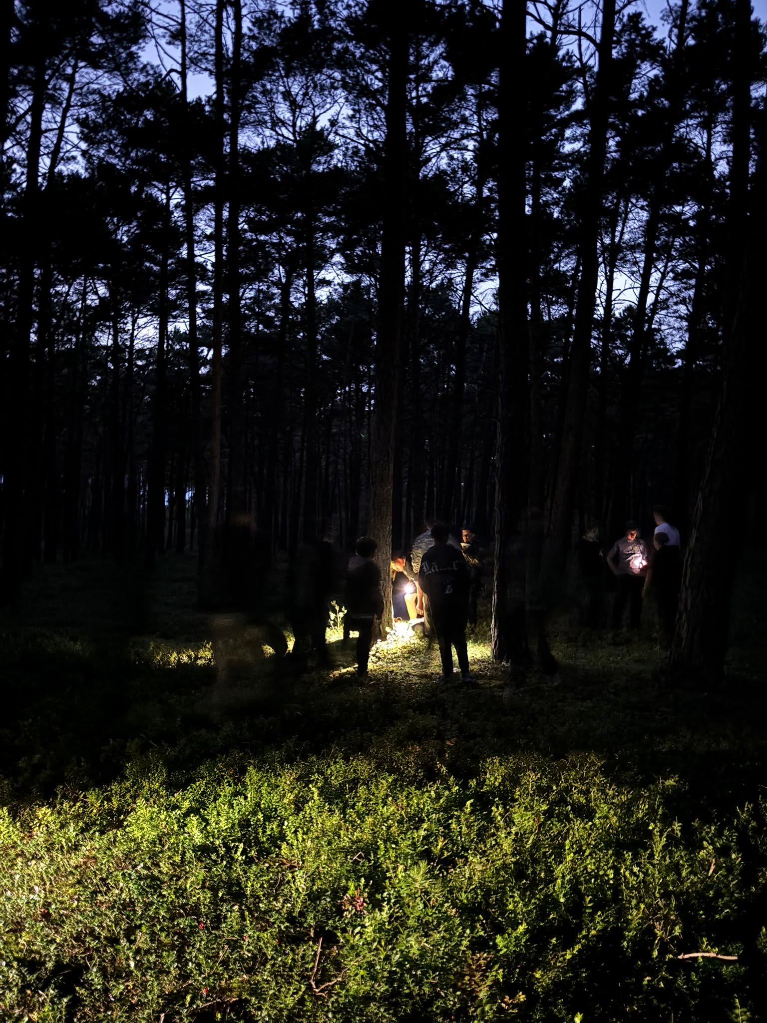 Uczestnicy obozu Survival przy ognisku w nocnym lesie