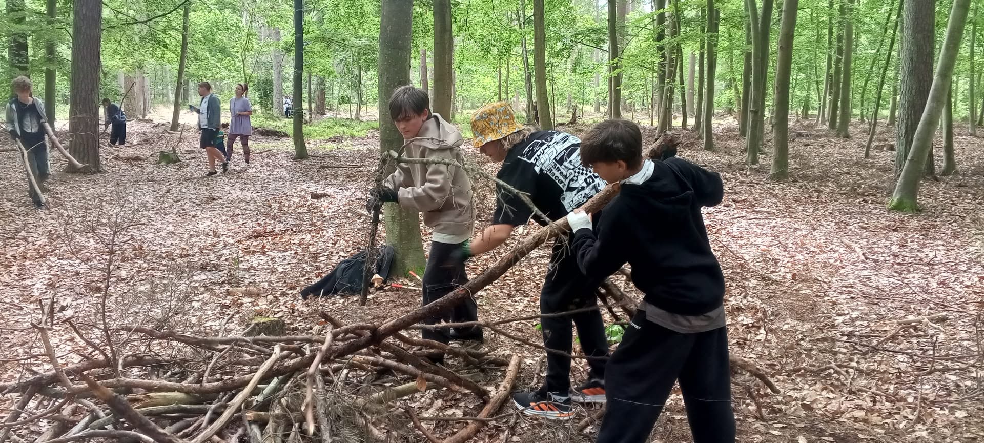 Uczestnicy zbierają gałęzie w lesie podczas zajęć terenowych